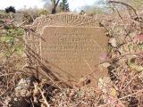 image of grave number 728460